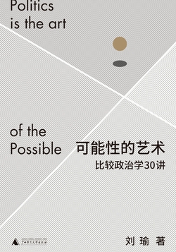 可能性的艺术：比较政治学30讲