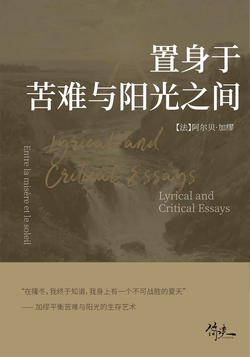 置身于苦难与阳光之间