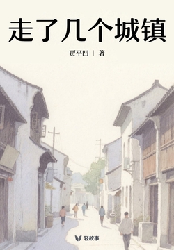走了几个城镇（轻经典）
